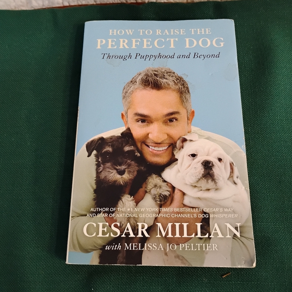 Dog Care Book Bundle - Picture 2 of 14